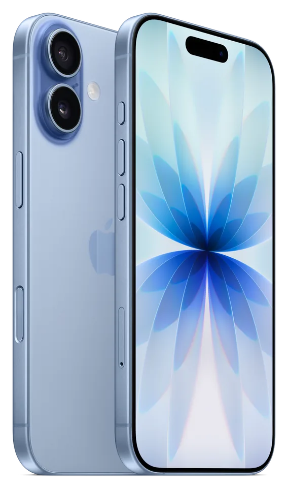 Rear cameras